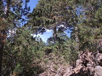 rrente Quarantore-20110911 095